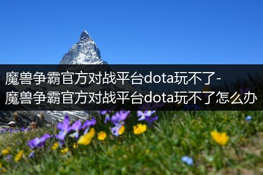 魔兽争霸官方对战平台dota玩不了-魔兽争霸官方对战平台dota玩不了怎么办