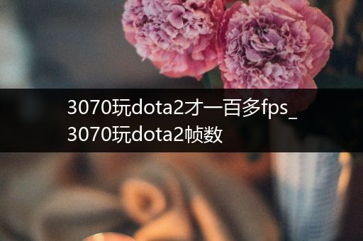 3070玩dota2才一百多fps_3070玩dota2帧数