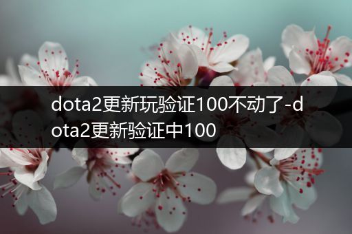 dota2更新玩验证100不动了-dota2更新验证中100