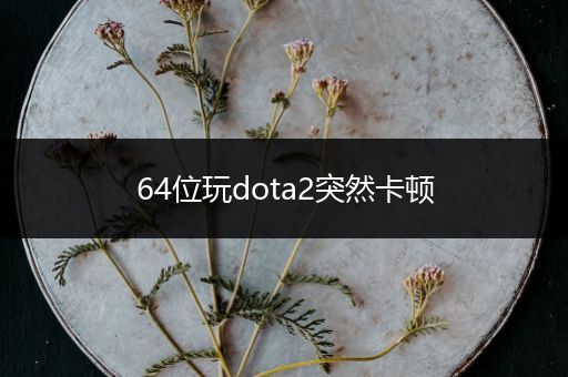 64位玩dota2突然卡顿