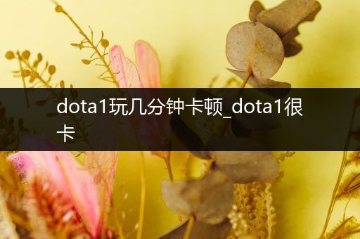 dota1玩几分钟卡顿_dota1很卡