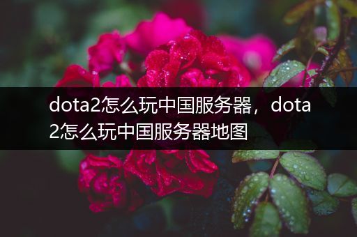 dota2怎么玩中国服务器，dota2怎么玩中国服务器地图