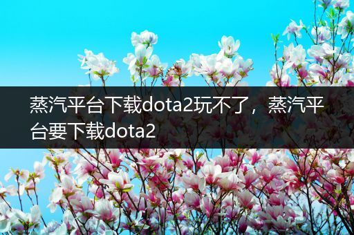 蒸汽平台下载dota2玩不了，蒸汽平台要下载dota2