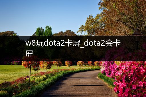 w8玩dota2卡屏_dota2会卡屏