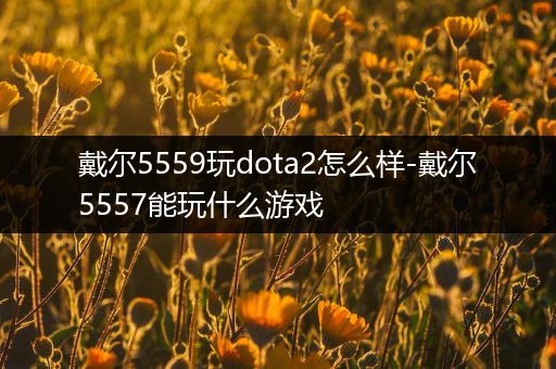 戴尔5559玩dota2怎么样-戴尔5557能玩什么游戏