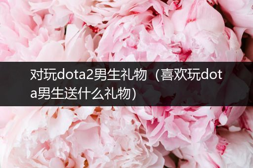 对玩dota2男生礼物（喜欢玩dota男生送什么礼物）