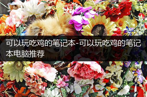 可以玩吃鸡的笔记本-可以玩吃鸡的笔记本电脑推荐