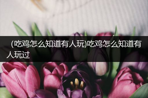 （吃鸡怎么知道有人玩)吃鸡怎么知道有人玩过