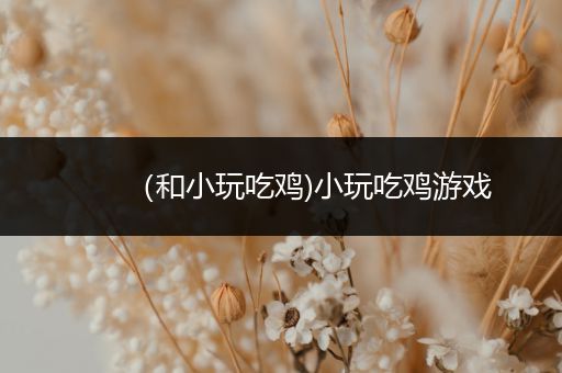（和小玩吃鸡)小玩吃鸡游戏