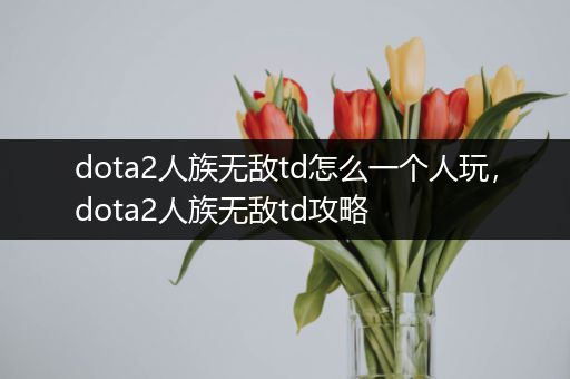 dota2人族无敌td怎么一个人玩，dota2人族无敌td攻略