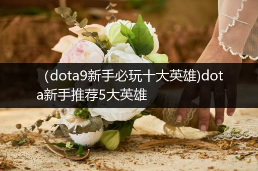 （dota9新手必玩十大英雄)dota新手推荐5大英雄