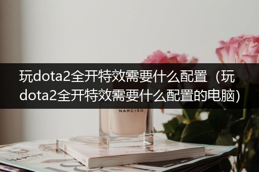 玩dota2全开特效需要什么配置（玩dota2全开特效需要什么配置的电脑）