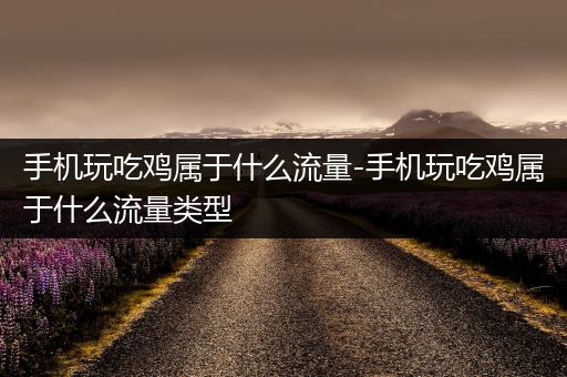 手机玩吃鸡属于什么流量-手机玩吃鸡属于什么流量类型