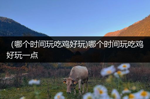 （哪个时间玩吃鸡好玩)哪个时间玩吃鸡好玩一点