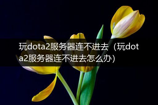 玩dota2服务器连不进去（玩dota2服务器连不进去怎么办）
