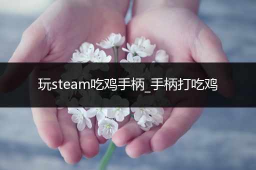 玩steam吃鸡手柄_手柄打吃鸡