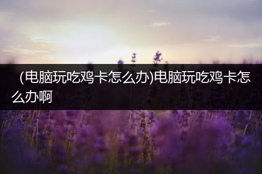 （电脑玩吃鸡卡怎么办)电脑玩吃鸡卡怎么办啊