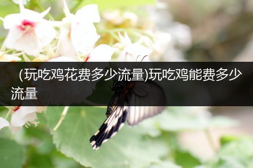 （玩吃鸡花费多少流量)玩吃鸡能费多少流量