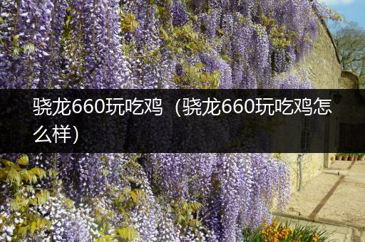 骁龙660玩吃鸡（骁龙660玩吃鸡怎么样）