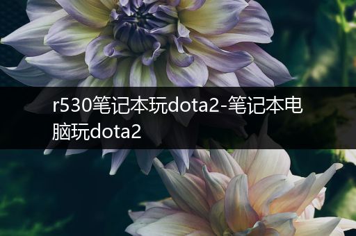 r530笔记本玩dota2-笔记本电脑玩dota2