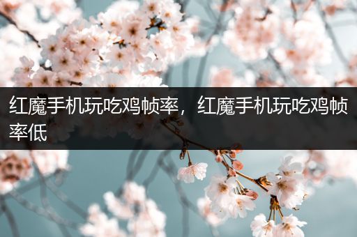 红魔手机玩吃鸡帧率，红魔手机玩吃鸡帧率低