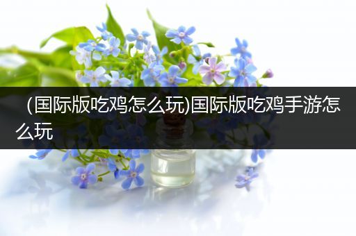 （国际版吃鸡怎么玩)国际版吃鸡手游怎么玩