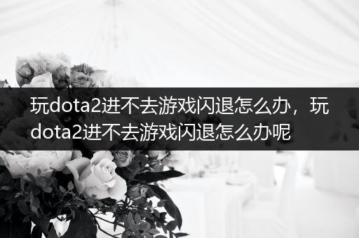 玩dota2进不去游戏闪退怎么办，玩dota2进不去游戏闪退怎么办呢