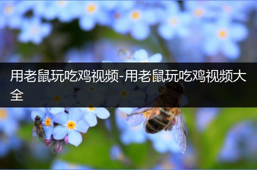用老鼠玩吃鸡视频-用老鼠玩吃鸡视频大全