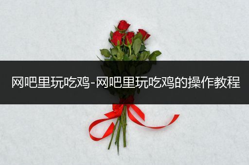 网吧里玩吃鸡-网吧里玩吃鸡的操作教程
