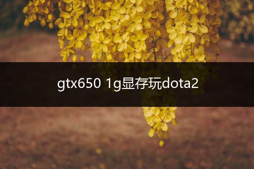 gtx650 1g显存玩dota2