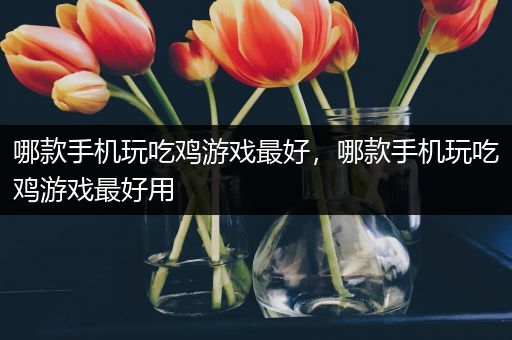 哪款手机玩吃鸡游戏最好，哪款手机玩吃鸡游戏最好用