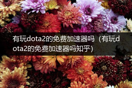 有玩dota2的免费加速器吗（有玩dota2的免费加速器吗知乎）