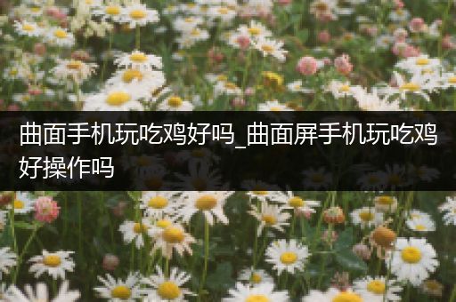 曲面手机玩吃鸡好吗_曲面屏手机玩吃鸡好操作吗