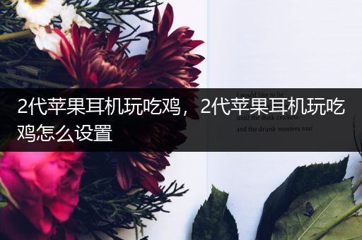 2代苹果耳机玩吃鸡，2代苹果耳机玩吃鸡怎么设置