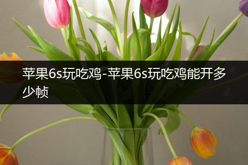 苹果6s玩吃鸡-苹果6s玩吃鸡能开多少帧