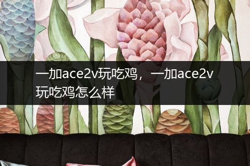 一加ace2v玩吃鸡，一加ace2v玩吃鸡怎么样