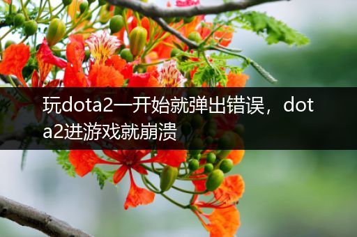 玩dota2一开始就弹出错误，dota2进游戏就崩溃