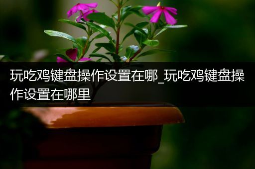 玩吃鸡键盘操作设置在哪_玩吃鸡键盘操作设置在哪里