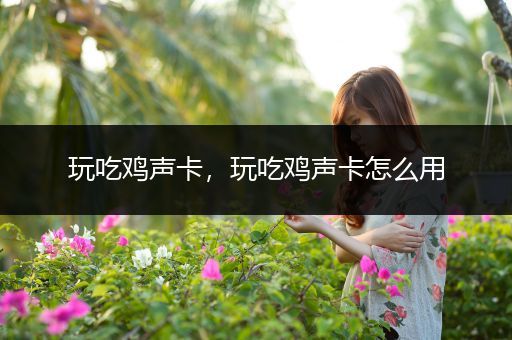 玩吃鸡声卡，玩吃鸡声卡怎么用
