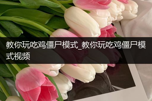 教你玩吃鸡僵尸模式_教你玩吃鸡僵尸模式视频