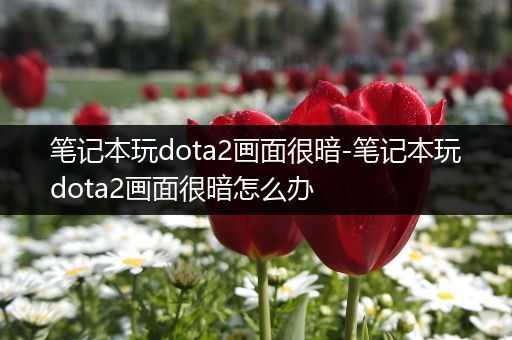 笔记本玩dota2画面很暗-笔记本玩dota2画面很暗怎么办