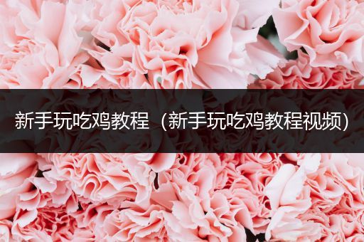 新手玩吃鸡教程（新手玩吃鸡教程视频）