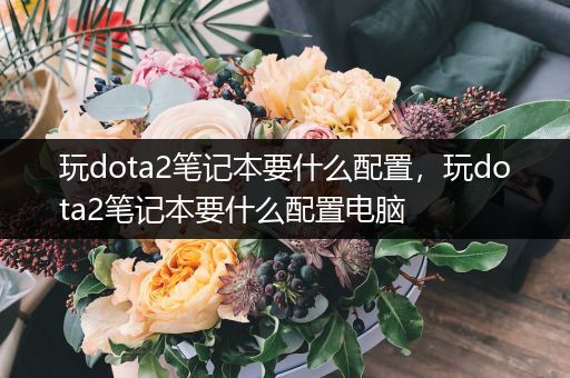 玩dota2笔记本要什么配置，玩dota2笔记本要什么配置电脑