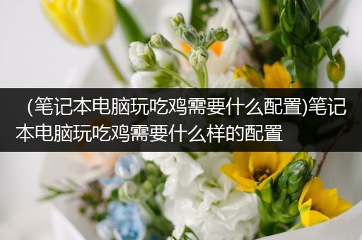 （笔记本电脑玩吃鸡需要什么配置)笔记本电脑玩吃鸡需要什么样的配置