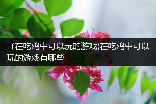 （在吃鸡中可以玩的游戏)在吃鸡中可以玩的游戏有哪些