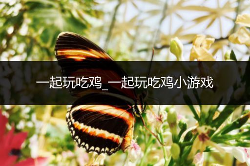 一起玩吃鸡_一起玩吃鸡小游戏