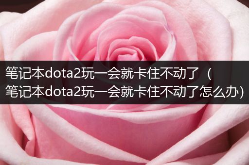 笔记本dota2玩一会就卡住不动了（笔记本dota2玩一会就卡住不动了怎么办）