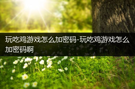 玩吃鸡游戏怎么加密码-玩吃鸡游戏怎么加密码啊