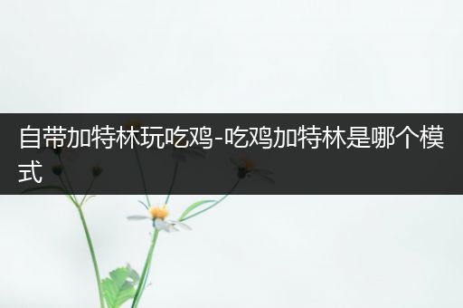 自带加特林玩吃鸡-吃鸡加特林是哪个模式