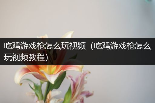 吃鸡游戏枪怎么玩视频（吃鸡游戏枪怎么玩视频教程）